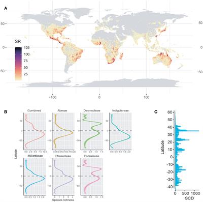 Biogeographic patterns and environmental drivers of species richness in the globally distributed Millettioid/Phaseoloid clade (Fabaceae, subfamily Papilionoideae)